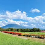 秋の札幌　ニセコ　弾丸ツアー　Ⅱ    旅するドニー　　絶景ドックラン